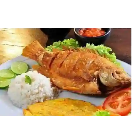 Mojarra Frita