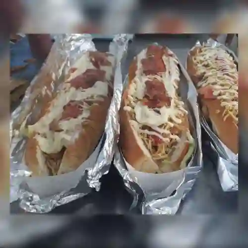 Perro Salvaje