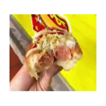 Perro Transmilenio