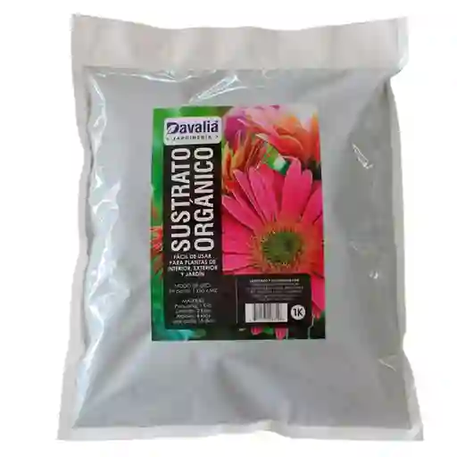 Davalia Sustrato Orgánico Para Plantas