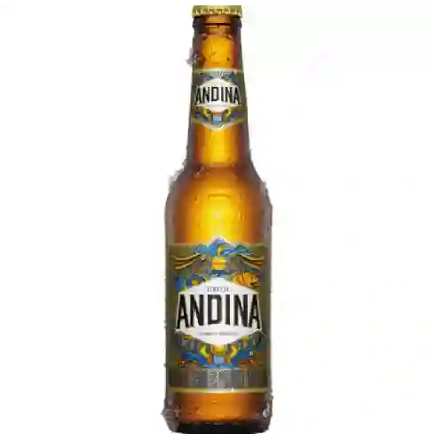 Cerveza Andina 355 ml