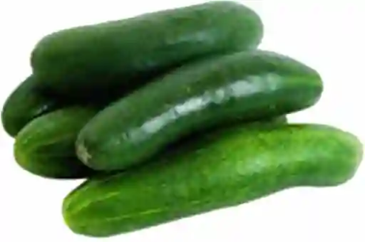 Pepino Guiso