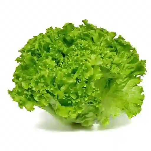 Lechuga Crespa Verde