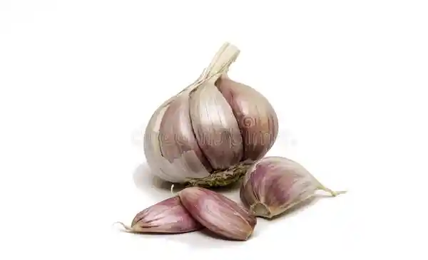 Ajo Nacional