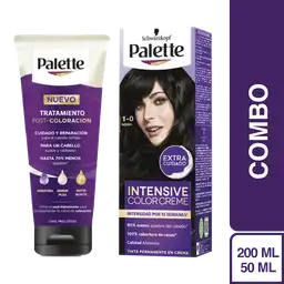 Combo Palette Color Creme 1-0 Negro + Tratamiento Post Color