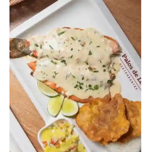 Trucha Al Ajillo