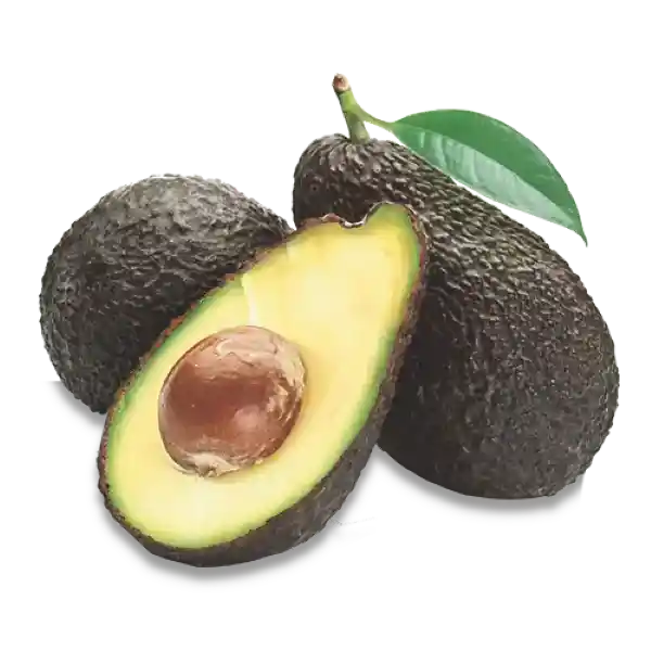 Makro Aguacate Hass