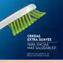 Cepillo de Dientes Extra Suave Oral-B Sensitive Encías Detox 3 Unidades