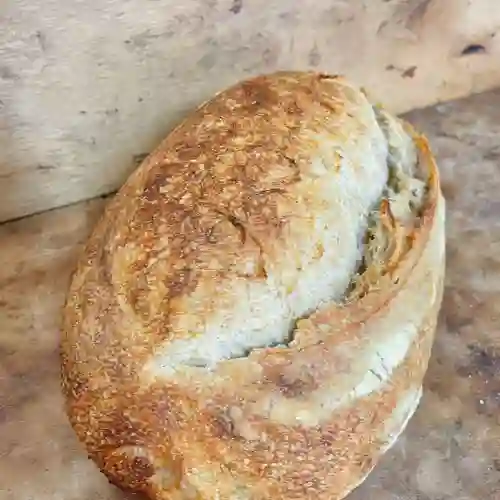 Pan Masa Madre