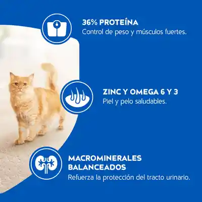 Cat Chow Gato Adulto Esterilizados 500 g