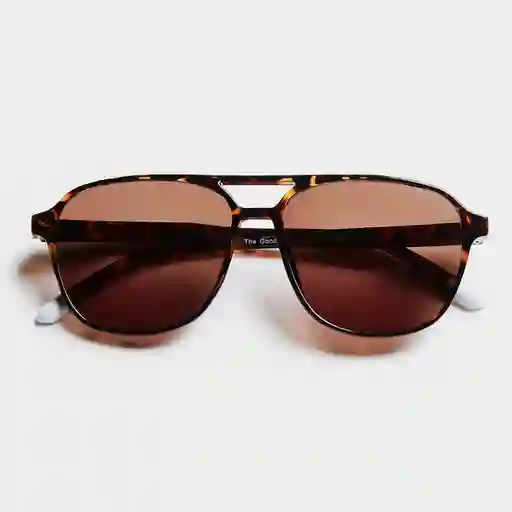 Barner Gafas Sun Brad Carey