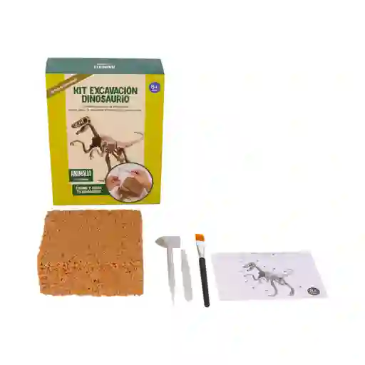 Kit de Excavación Dinosaurio Arena Multicolor Diseño 0004