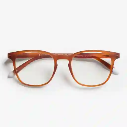 Barner Gafas de Lectura Dalston Cobre + 2.00