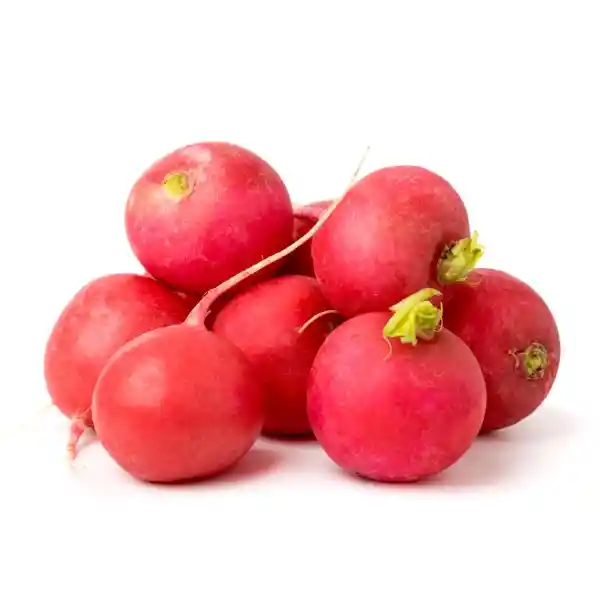 Rábano