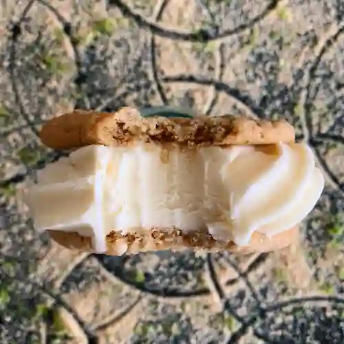 Ice Cream Sandwich Lemon Cheesecake