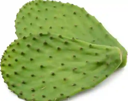 Nopal