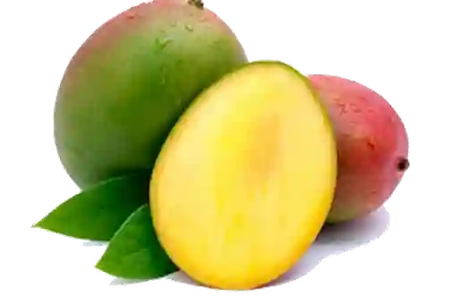 Mango Tommy Pintón