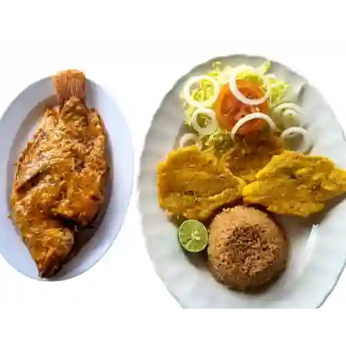 Mojarra en Sumo de Coco