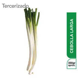Cebolla Larga Turbo