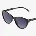Barner Gafas Sun Astoria Negro Oscuro