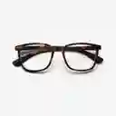 B+D Gafas Reading Max Carey + 3.00