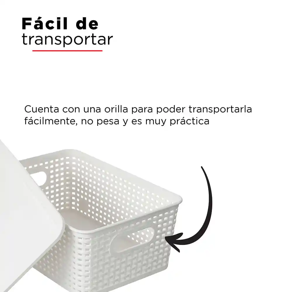 Caja de Plastico Con Cobertura L