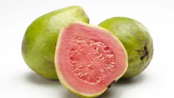 Guayaba