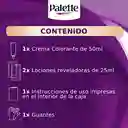 Tinte Palette Color Creme 10-1 Rubio Plata Cenizo