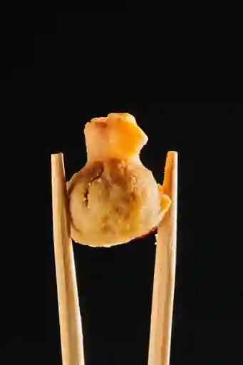 Wonton