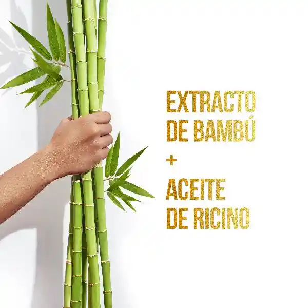 Pantene Shampoo de Bambú Nutre y Crece
