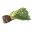 Members Selection Lechuga Romana - Pricesmart