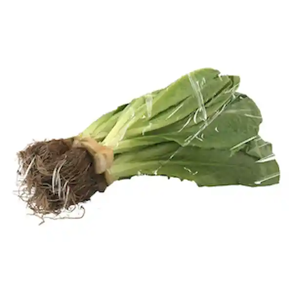 Members Selection Lechuga Romana - Pricesmart