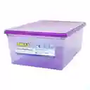 Caja Ultraliviana 12 Lt Purpur Rimax 9650