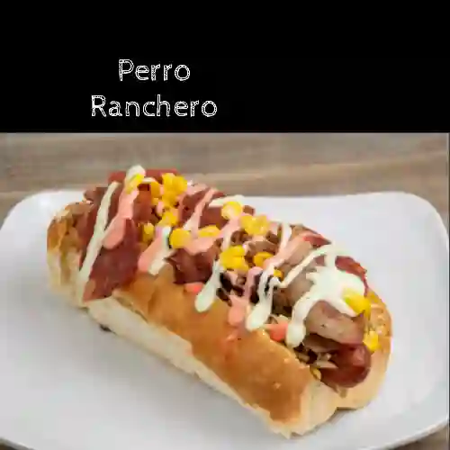 Perro Ranchero