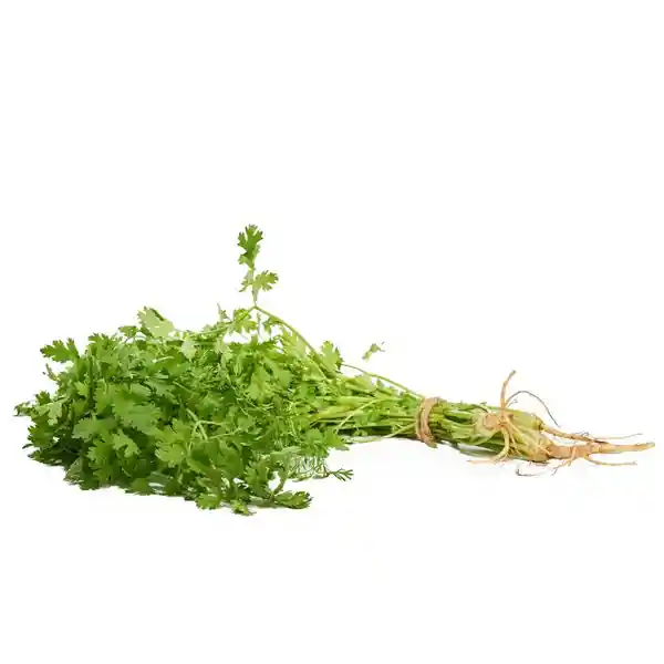 Cilantro Manojo