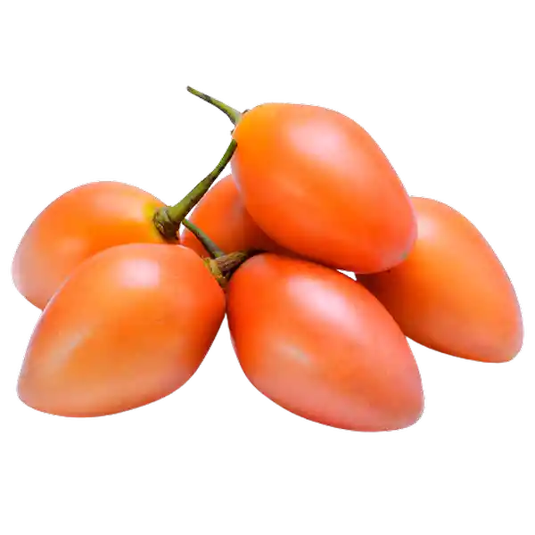 Tomate Árbol Común