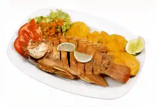 Combo Mojarra
