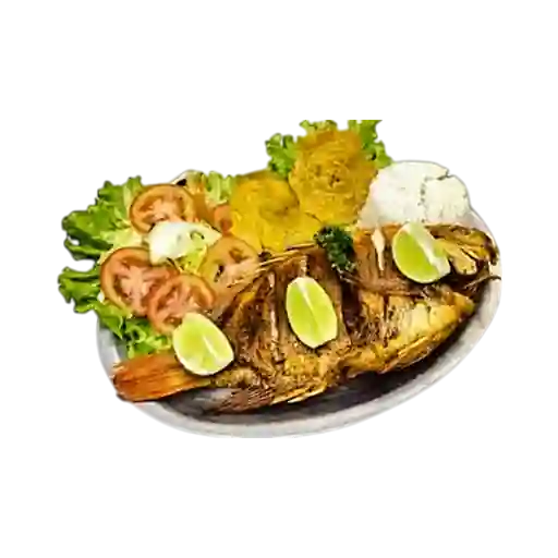 Mojarra Criolla