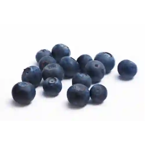 Adicion Fruta Arandanos