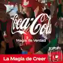 Coca-Cola Zero Gaseosa Zero