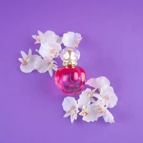 Perfume Para Mujer Affection Miniso