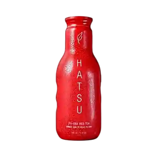 Té hatsu rojo
