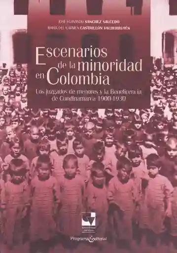 Escenarios de la minoridad en Colombia. Los juzgados de menores y la beneficencia de Cundinamarca 1900-1930
