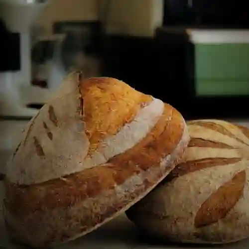 Pan Masa Madre