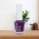 Esmalte para Uñas a Base de Aceite Color Aubergine Miniso 