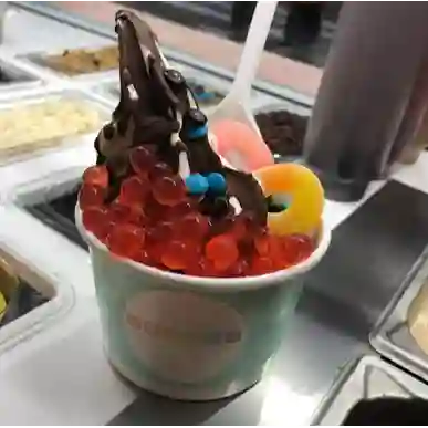 Helado de Yogurt 12oz