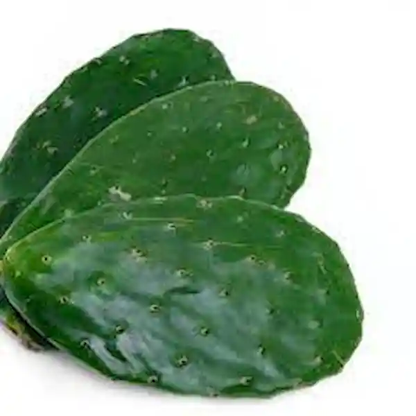 Nopal