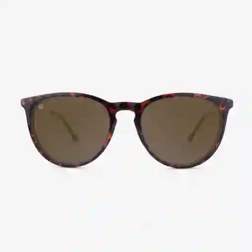 Knockaround Gafas Mary Jane Tortoise