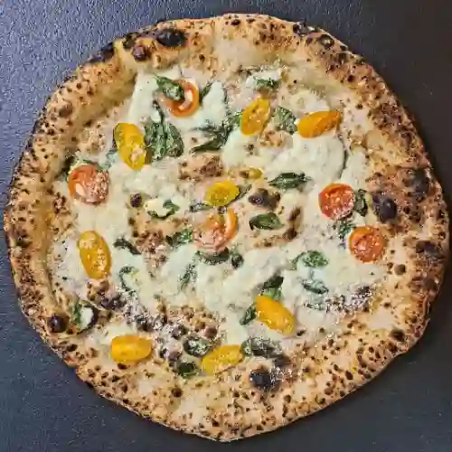 Margherita Inversa.