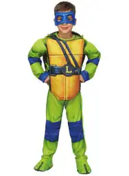 Disfraz Leonard Teenage Ninjaturtle Surtido Talla 10